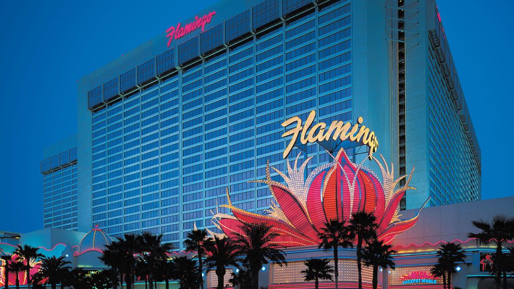 The Flamingo Review: A Comprehensive Look at the Popular brand