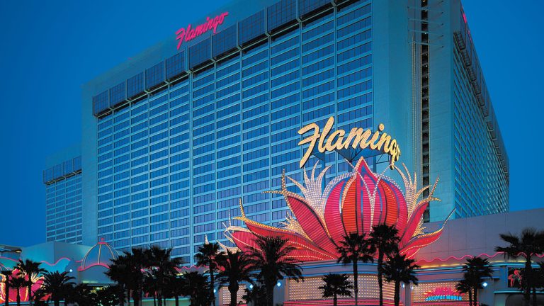 The Flamingo Review: A Comprehensive Look at the Popular brand