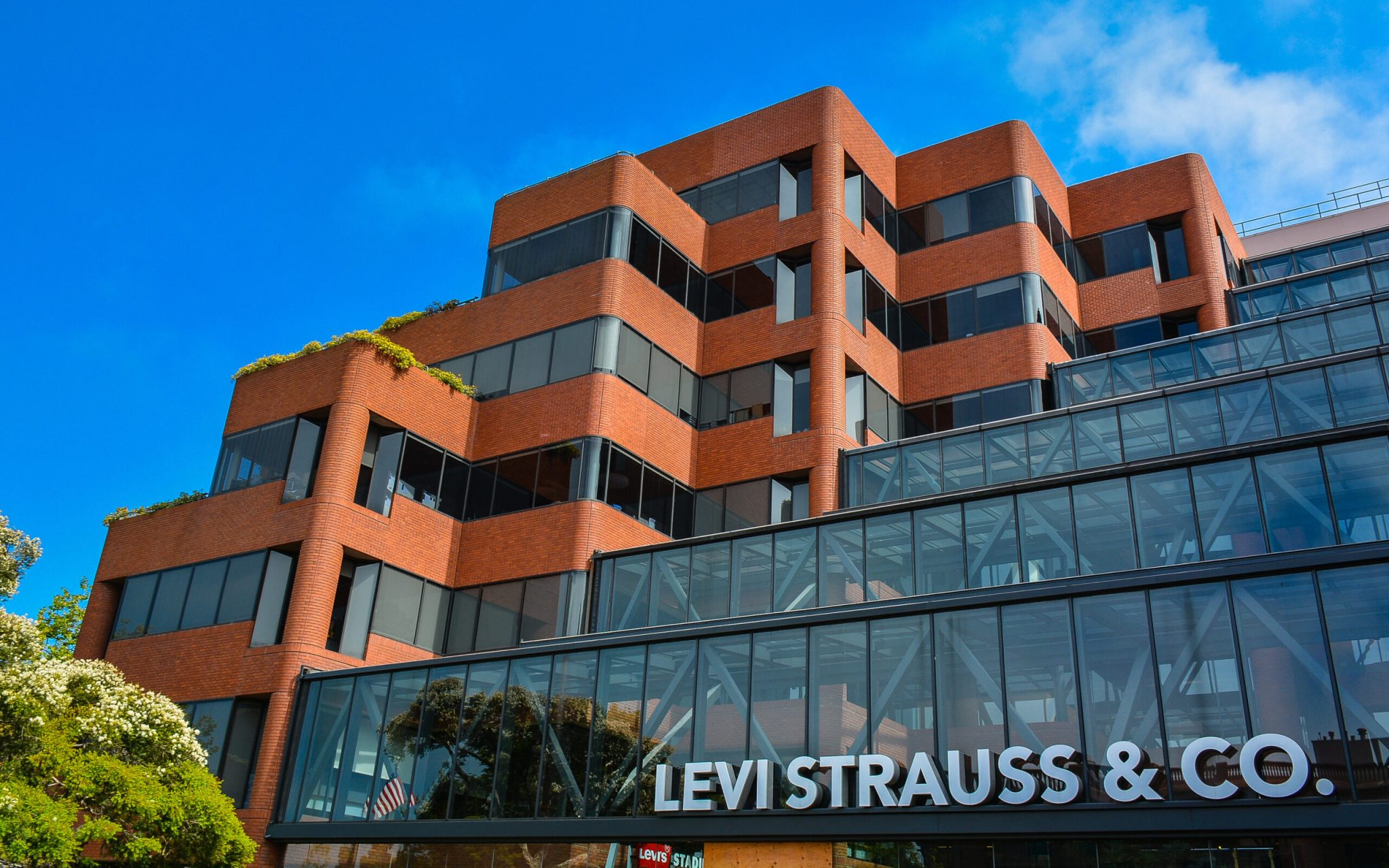 Levi’s 101: Everything You Need to Know Before Buying a Pair
