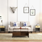 Aosom Website Review: Uncover Hidden Gems for Your Home Decor
