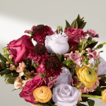 Bouqs Review: Unveiling the Secrets Behind their Farm-to-Table Approach to Flower Delivery