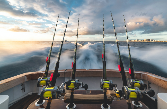 Your One-Stop Shop for All Your Fishing Needs: Explore West Marine’s Online Store