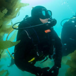 Making Waves in the Diving Community: An In-Depth Look at Padi’s Website