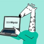 What Makes Zonky Stand Out in the Crowded Market?