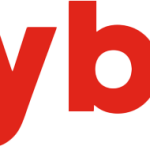 Rozbalování recenze Joybug Associates: Co potřebujete vědět