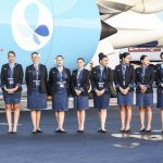 Why French Bee FR is Setting New Standards in Air Travel Experience