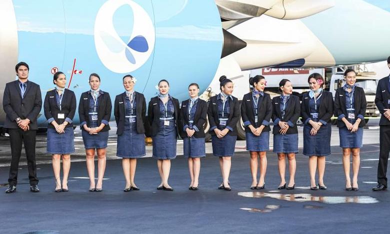 Why French Bee FR is Setting New Standards in Air Travel Experience