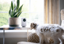 Why Wyze Labs is Leading the Charge in Smart Home Technology