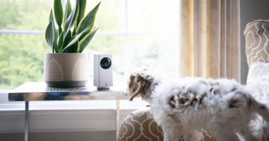 Why Wyze Labs is Leading the Charge in Smart Home Technology