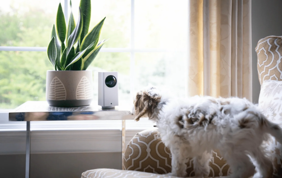 Why Wyze Labs is Leading the Charge in Smart Home Technology